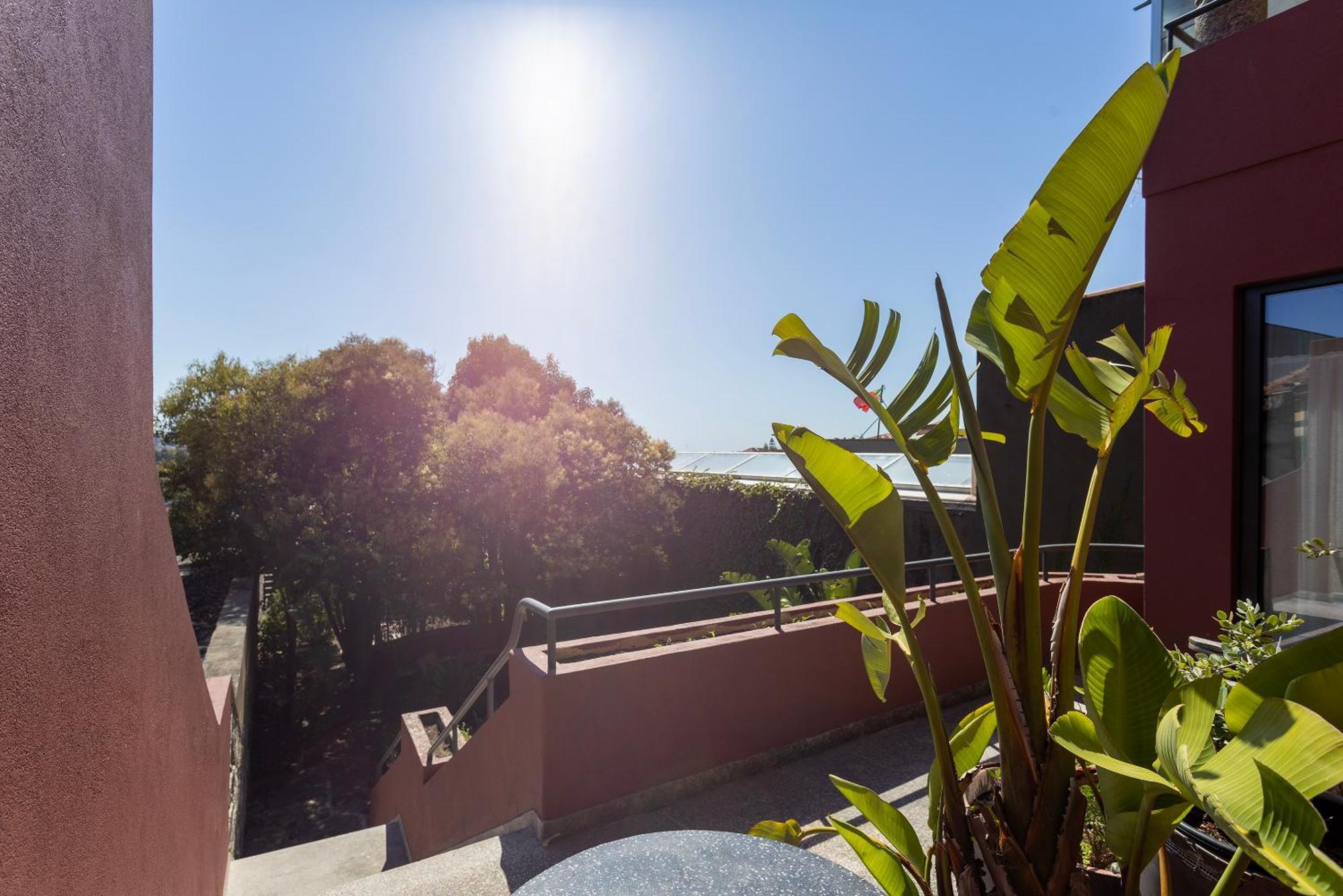 Liiiving In Porto - Casa Duque Apartments מראה חיצוני תמונה